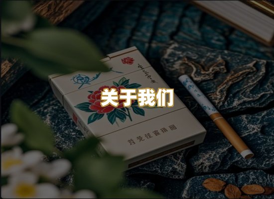 关于我们